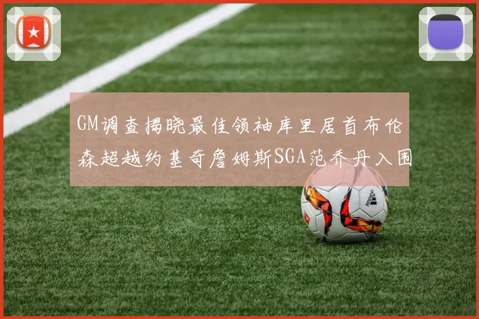 GM调查揭晓最佳领袖库里居首布伦森超越约基奇詹姆斯SGA范乔丹入围